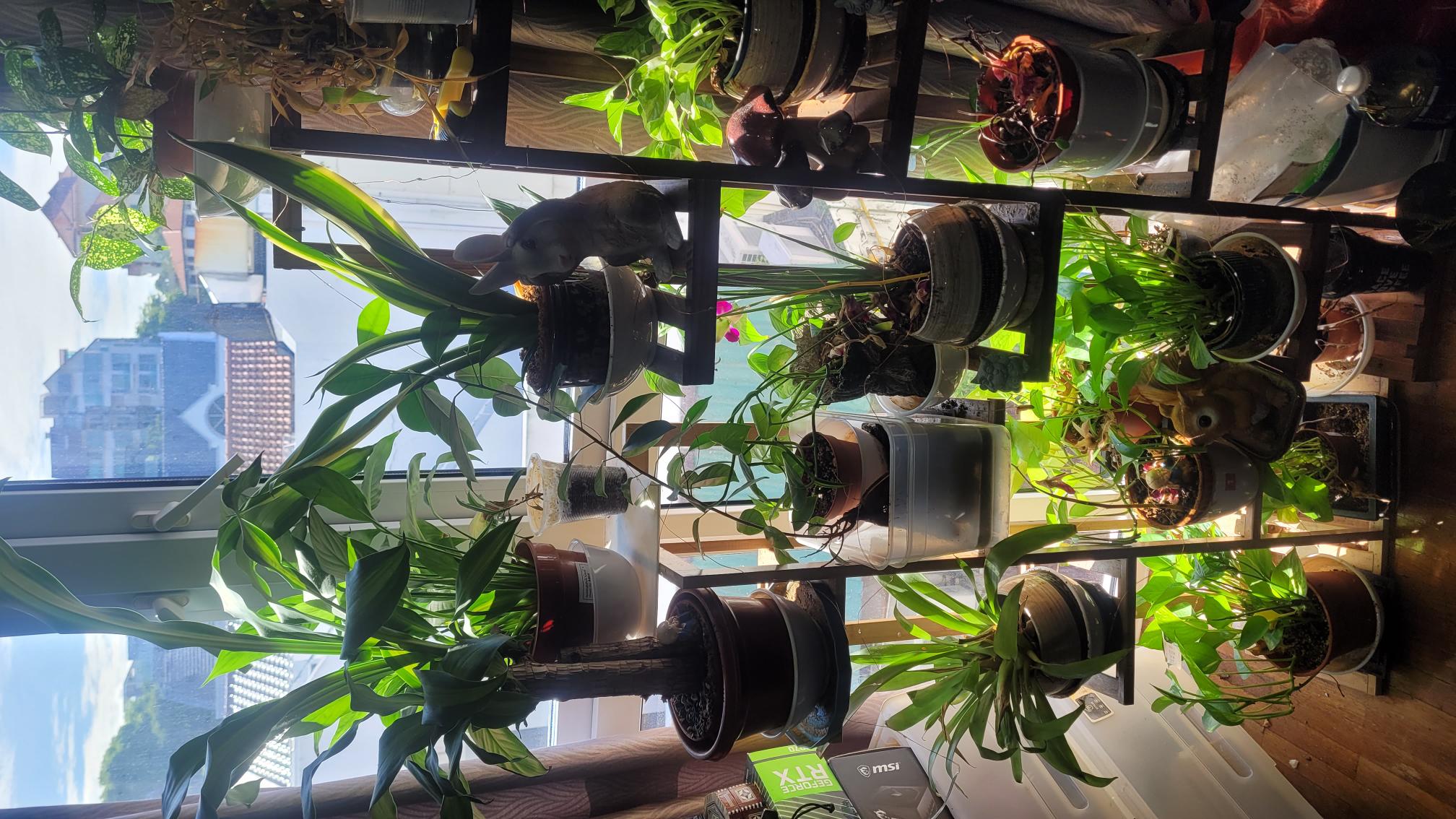 Indoor gardening and hydroponics