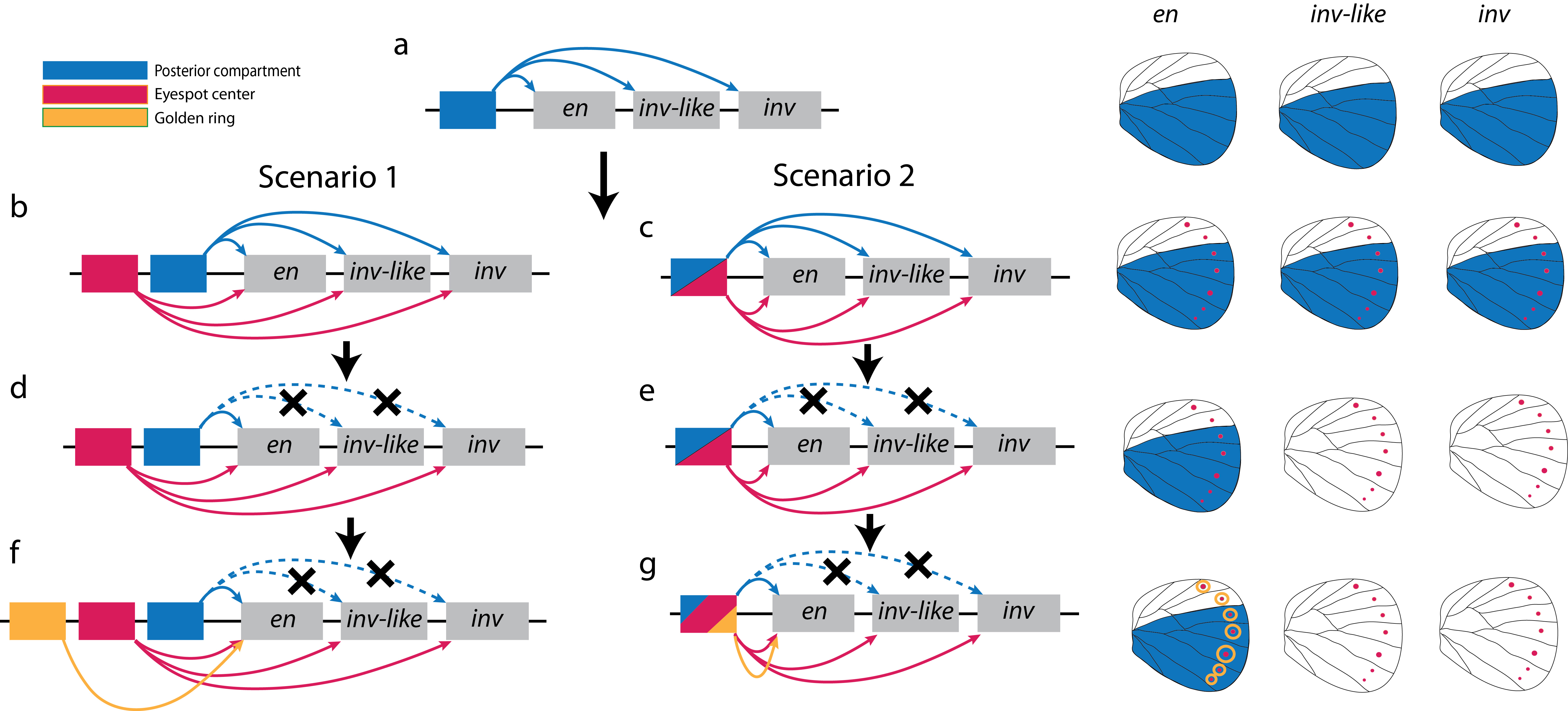 Banerjee Frontiers 2020