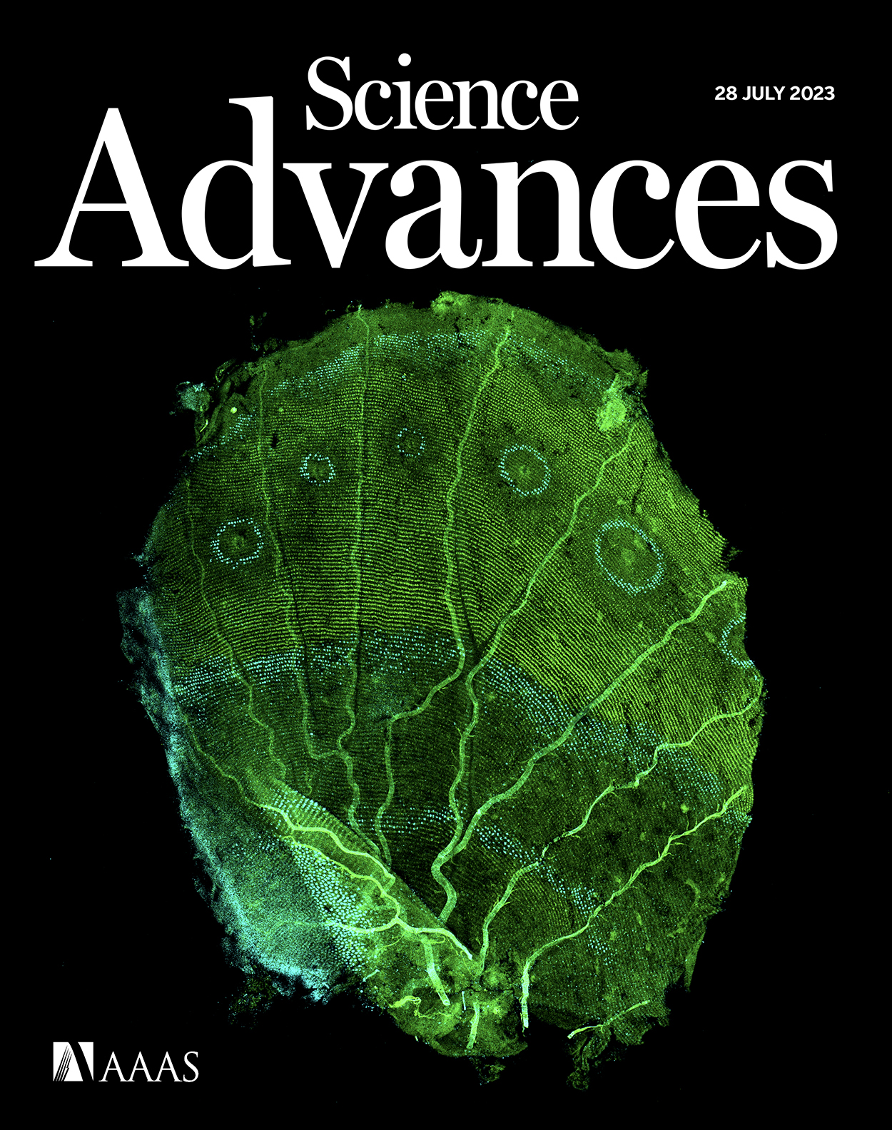 Science Advances Cover