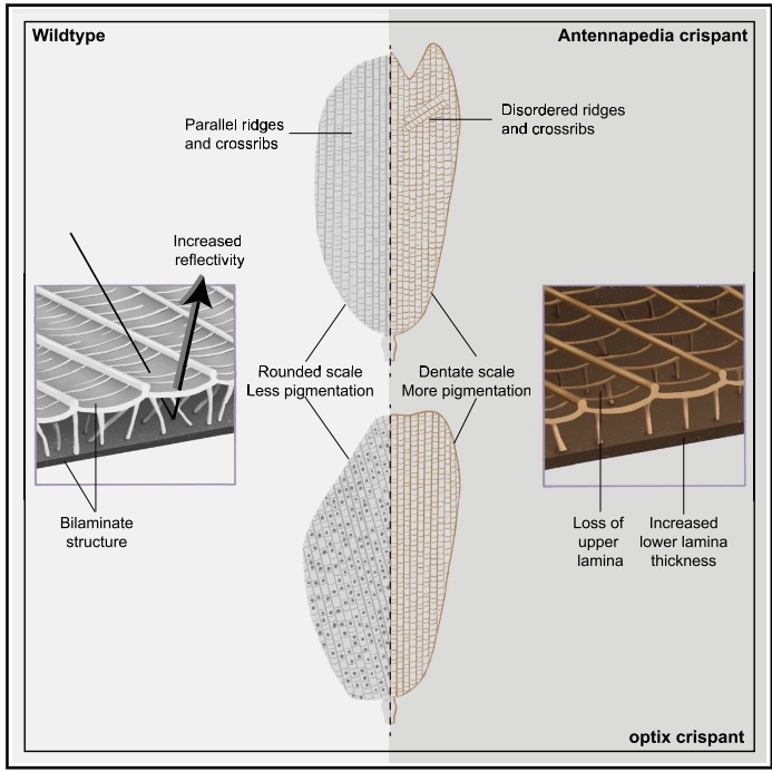 Prakash el al., 2022